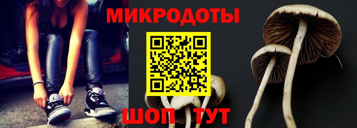 Псилоцибиновые грибы Cubensis  Вход с VPN  Сланцы  купить закладку  Псилоцибиновые грибы ЛСД 